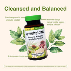 Organic burdock and dandelion roots appear in the herbal blend