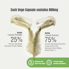 Close-up of Gurmar extract 7:1 shows concentrated potency.