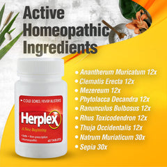 Boxed packaging of Herplex Premium Tablets, USA-made quality claim.