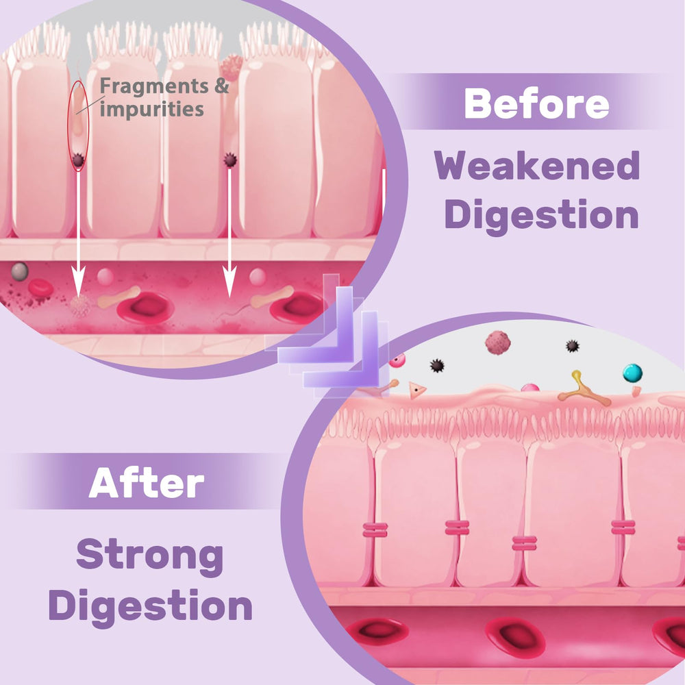 Illustration of Marshmallow Root and Slippery Elm in the formula.