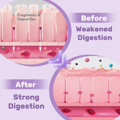 Illustration of Marshmallow Root and Slippery Elm in the formula.