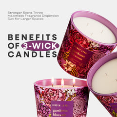 Hidden Label aromatherapy notes promote relaxation and calm