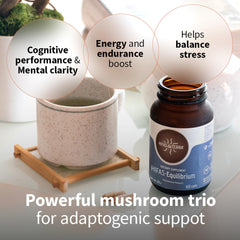 HIFAS-Equilibrium label detail showing adaptogenic blend of mushrooms