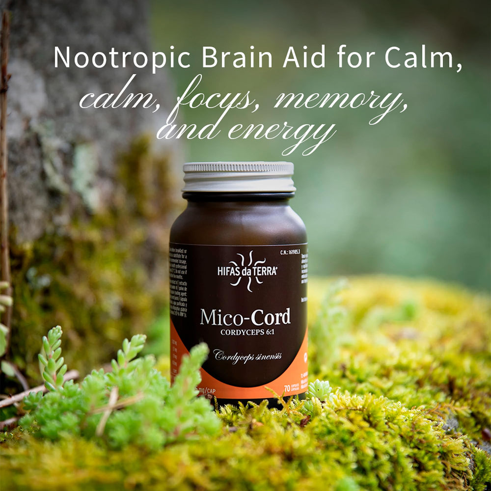 Capsules on wooden table evoke everyday energy and concentration support.
