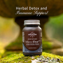 HIFAS DA TERRA Mico-Five mushroom blend powder in a scoop, ready to mix.