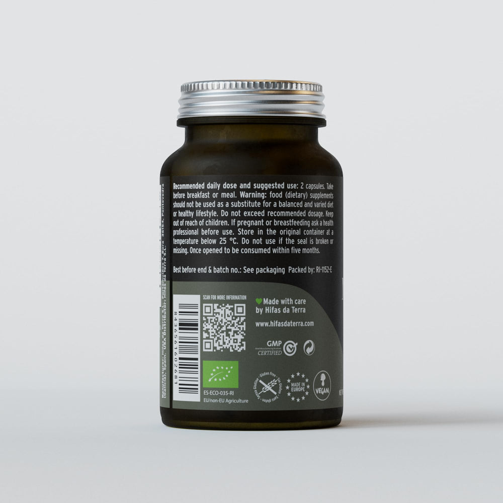 Hifas da Terra Mico-Leo lifestyle scene suggesting focus during study