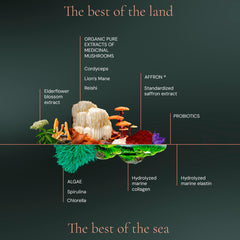 HIFAS DA TERRA ingredients label highlighting key nutrients