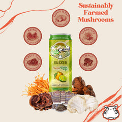 High Ground Elixir Reishi bottle indicating stress relief support