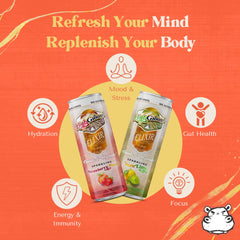 High Ground Elixir Reishi can signals stress relief and calm energy