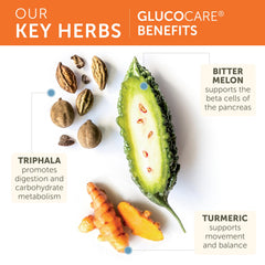 Triphala and turmeric blend in GlucoCare for metabolism support.