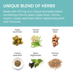 Himalaya LiverCare ingredients chart highlights chicory caper and yarrow