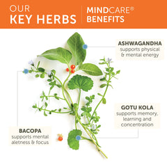 Himalaya MindCare ingredients panel featuring Bacopa, Gotu Kola, and Ashwagandha