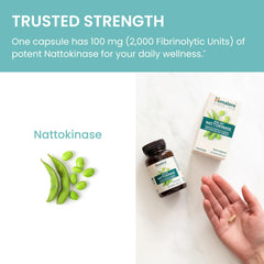Himalaya NSK-SD nattokinase graphic illustrating 2,000 FU per serving.