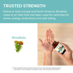Himalaya Rhodiola Rosea capsules in daily-use scene