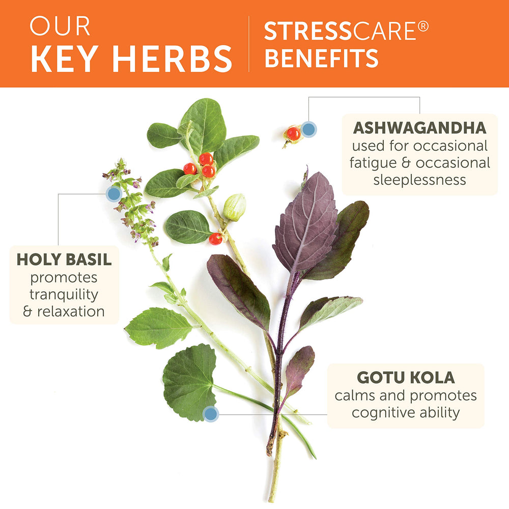 Himalaya StressCare capsules in hand demonstrating convenient vegan stress support on the go.