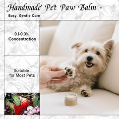 HIQILI Pomegranate Halo soap fragrance for vibrant lather