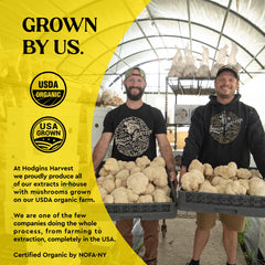 Hodgins Harvest dual-extract tincture pour shows full-spectrum mushroom benefits