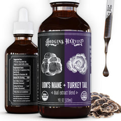 Hodgins Harvest organic Lion’s Mane + Turkey Tail tincture bottle for daily wellness