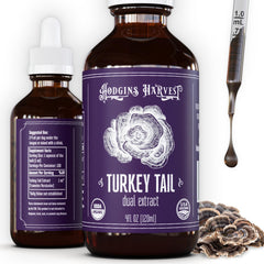 Hodgins Harvest Turkey Tail tincture bottle showing premium extract for daily wellness