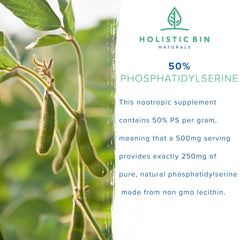 Holistic Bin lab-tested phosphatidylserine powder communicates quality and safety.