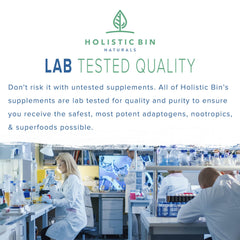 Holistic Bin non-GMO soy lecithin source signals clean formulation.