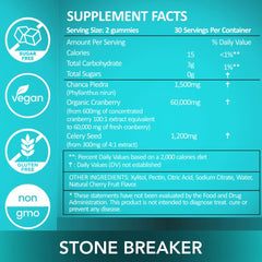 Holistic MD Stone Breaker bottle shows vegan and non-GMO seals for quality.