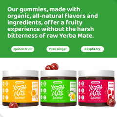 HOLYMARY Yerba Mate Gummies travel pack in a bag for fatigue fighting.