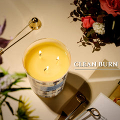 Home Lights Blueberry Cheesecake modern farmhouse candle in living room