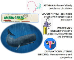 Sterile glass vial storage preserves potency of Ambra Grisea pellets