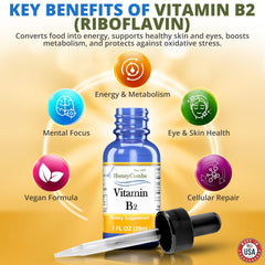 HoneyCombs B2 drops with bold labeling ready for daily use.