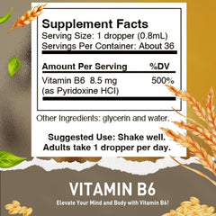 HoneyCombs Vitamin B6 liquid drops label confirms vegan formula and quality.