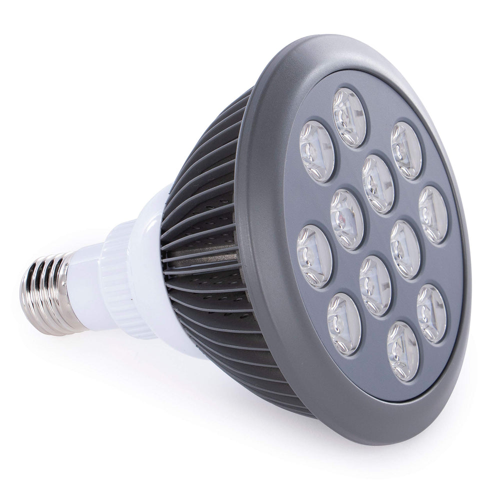 Hooga HG24 blue light calms the skin and helps sensitive skin types.