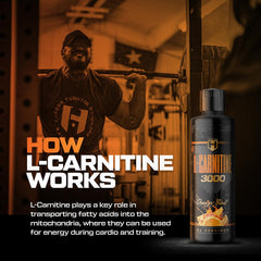 HOSSTILE Liquid L-Carnitine orange blast bottle on ice with refreshing energy cue