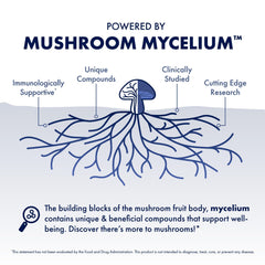 Capsules arranged for convenient daily intake and immune maintenance.
