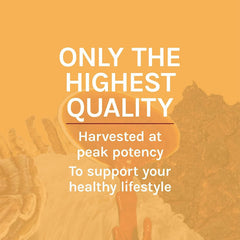 Host Defense oxygen-uptake concept graphic hints energy support during activity.