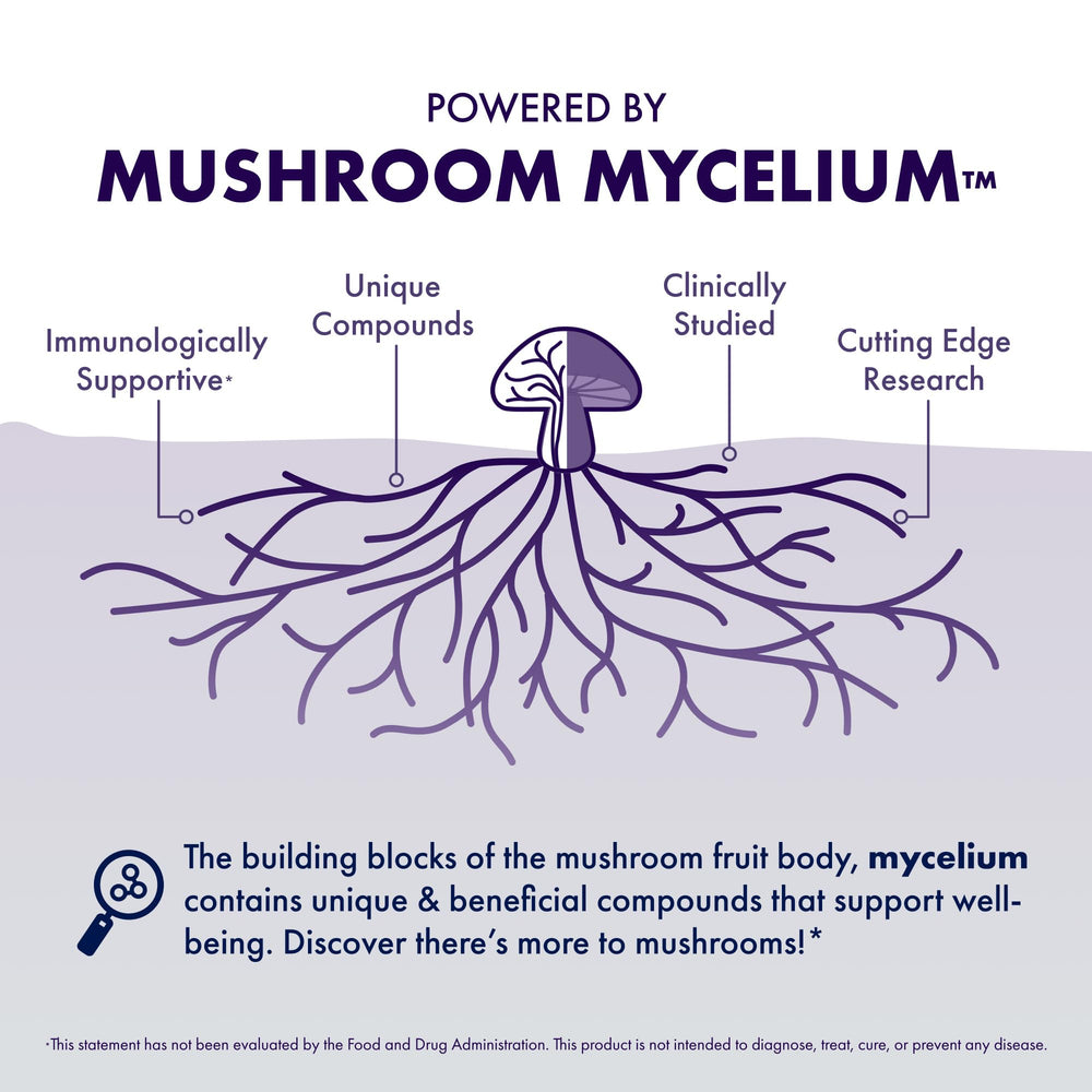 Host Defense MycoBotanicals Brain Capsules ingredients collage featuring Lion's Mane, Reishi, Cordyceps