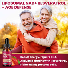 Hovika liposomal technology illustration showing improved bioavailability