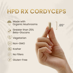 HPD Rx cordyceps militaris capsules for daily energy support