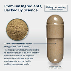 Close-up of the HPN S(9) label emphasizing vegan capsules