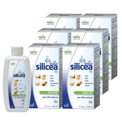 Hubner Silicea Gel bottle with dropper highlights pure silica for hair and skin