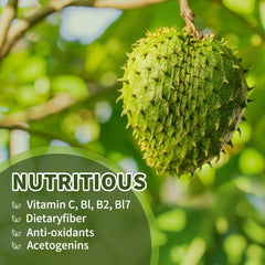 Hudetex Soursop Graviola bottle label with leaf extract details