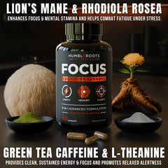 HUMBLEROOTS FOCUS capsules close-up highlighting natural nootropics for focus