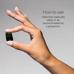 Hush & Hush ShieldUp organic matcha leaf extract for energy and antioxidant notes.