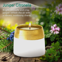 Hyggelight Clara ceramic container doubles as planter after burn