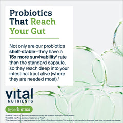 Graphic illustrating Hyperbiotics time-release technology and survivability