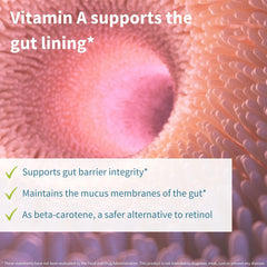 Igennus probiotics gut-health illustration suggests improved digestion and comfort.