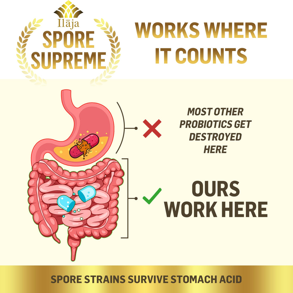 ILAJA Spore Supreme gut health graphic illustrates digestion and immune balance.