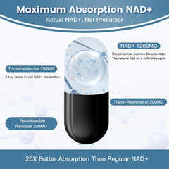 inGreens Liposomal NAD+ bottle with tray suggests on the go use