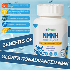 inGreens NMNH NR TMG Resveratrol COQ10 ingredients support cellular energy