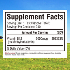 Innate Vitality sublingual tablet dissolving quickly for daytime focus